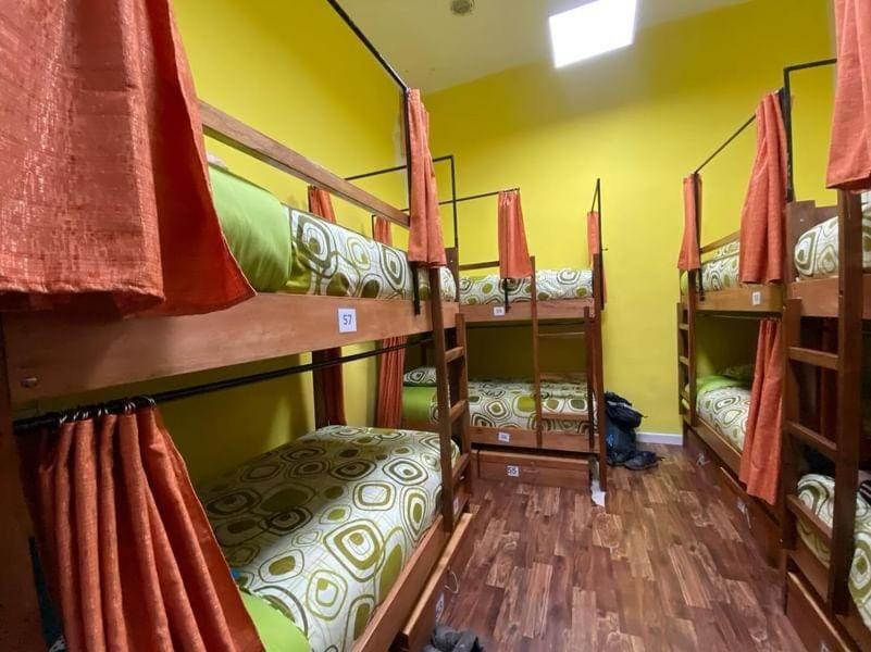 Saint Peter'S Llama Hostal لاباز المظهر الخارجي الصورة