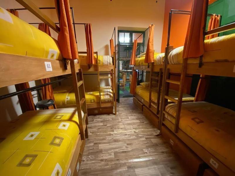 Saint Peter'S Llama Hostal لاباز المظهر الخارجي الصورة
