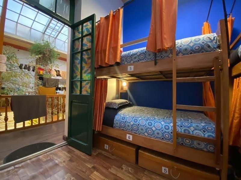 Saint Peter'S Llama Hostal لاباز المظهر الخارجي الصورة