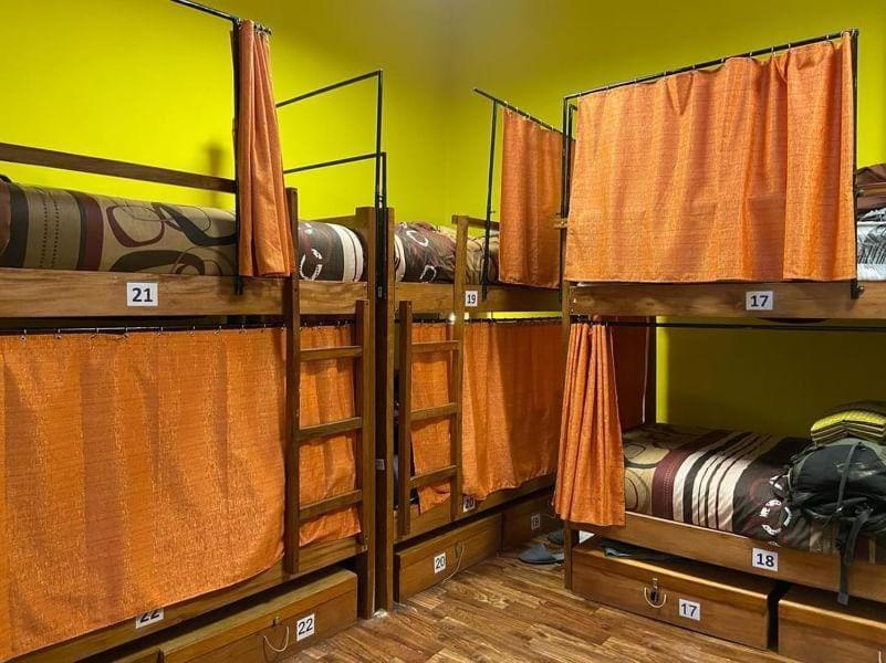 Saint Peter'S Llama Hostal لاباز المظهر الخارجي الصورة