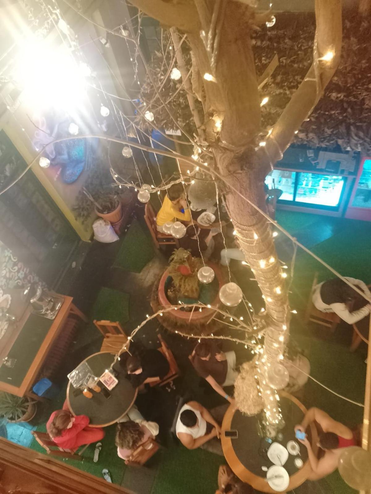 Saint Peter'S Llama Hostal لاباز المظهر الخارجي الصورة
