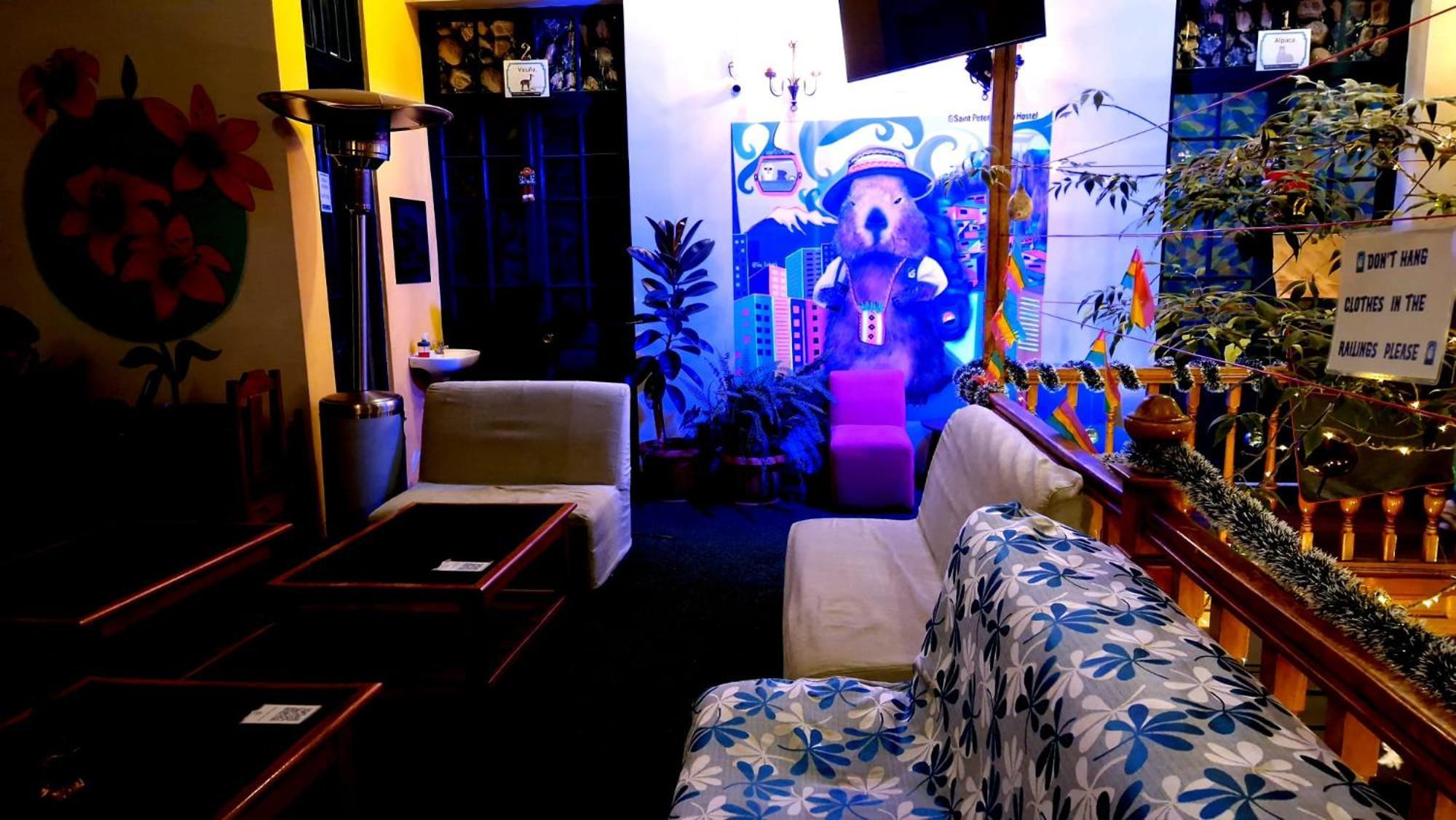 Saint Peter'S Llama Hostal لاباز المظهر الخارجي الصورة