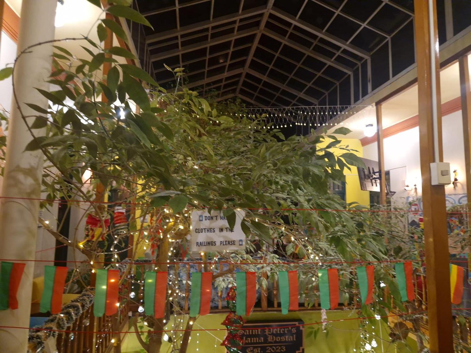 Saint Peter'S Llama Hostal لاباز المظهر الخارجي الصورة