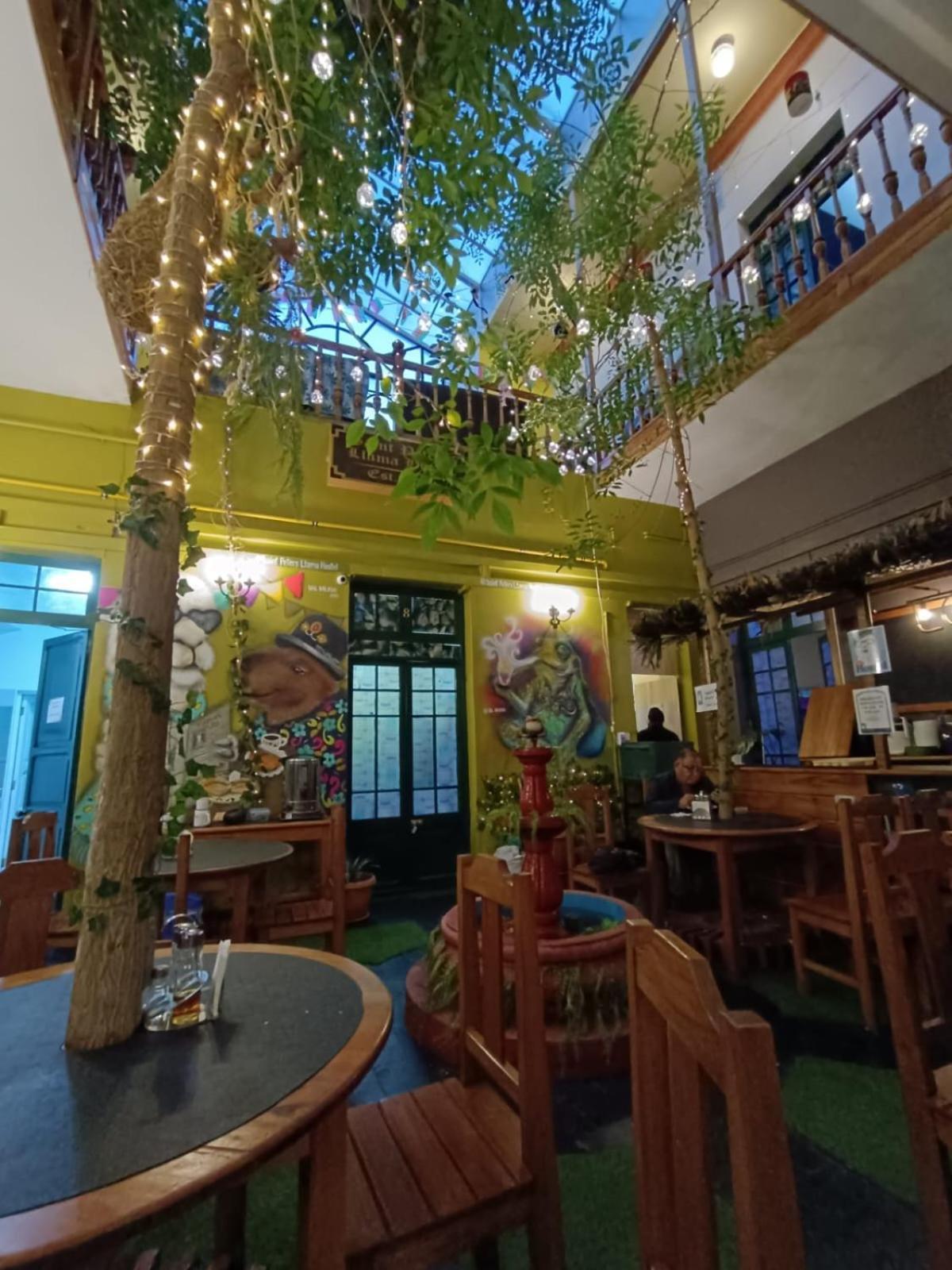 Saint Peter'S Llama Hostal لاباز المظهر الخارجي الصورة