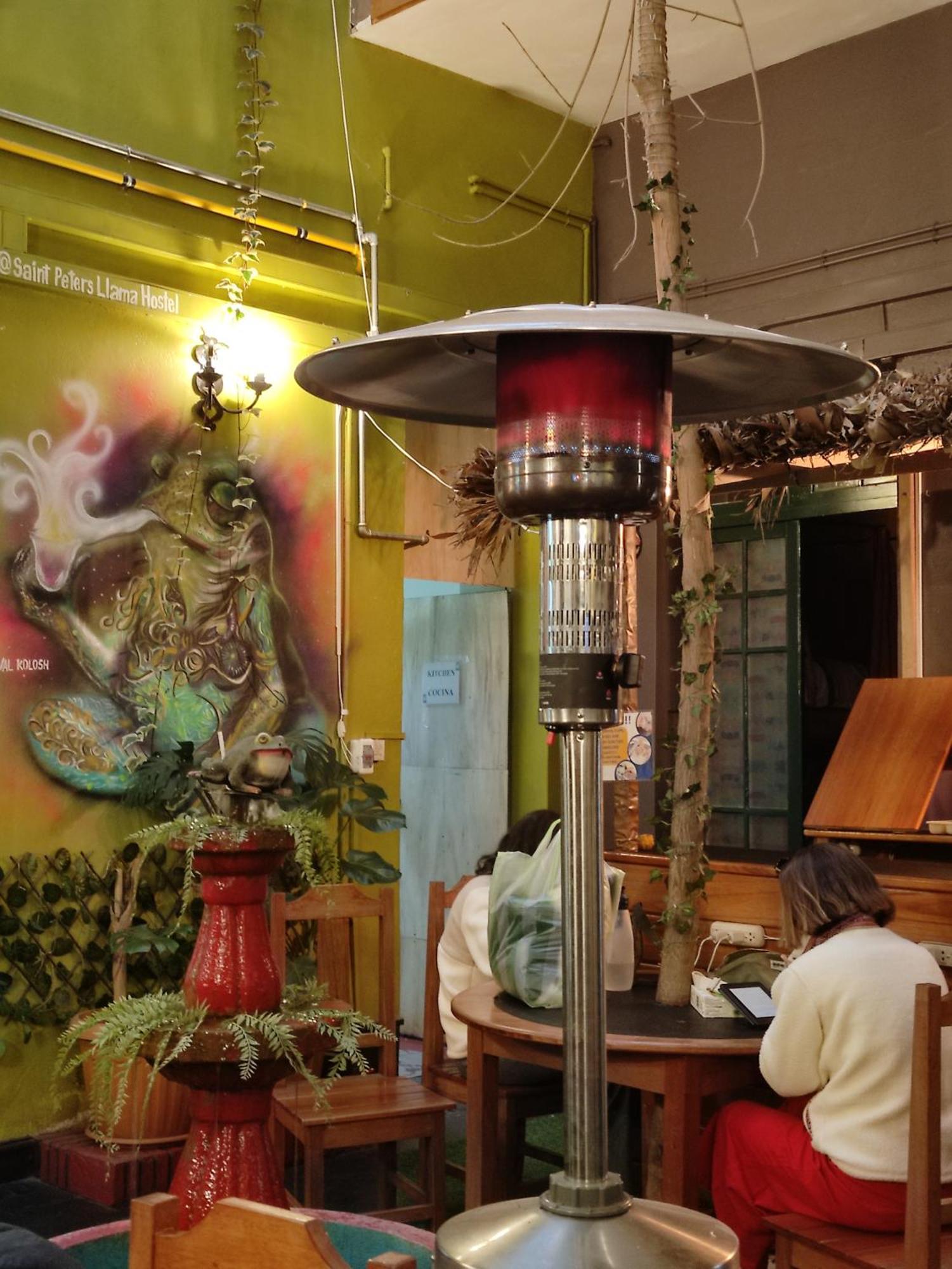 Saint Peter'S Llama Hostal لاباز المظهر الخارجي الصورة